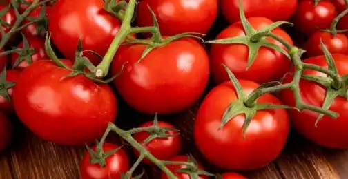 Lycopene Powder: Dosage and Safety Guide